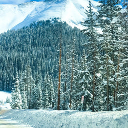 Tips for Winter Driving at National Parks