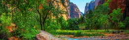 Zion National Park