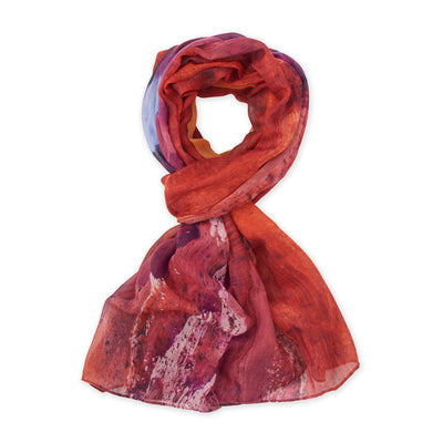 Dead Horse Point State Park Photo Scarf - McGovern & Company