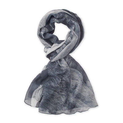 Death Valley National Park Photo Scarf - McGovern & Company