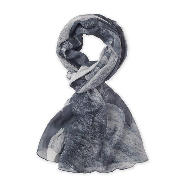 Death Valley National Park Photo Scarf - McGovern & Company