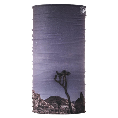 Joshua Tree National Park Night Sky Bana - McGovern & Company