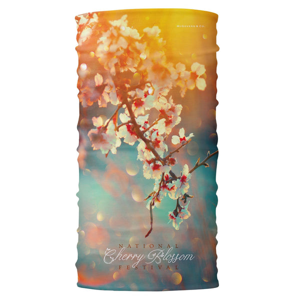 National Mall Cherry Blossom Photo Bana - McGovern Outdoor