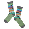 Petrified Forest Rock Layers History of Life Sock