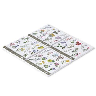 Wildflowers of the USA Coasters (Set of 4)