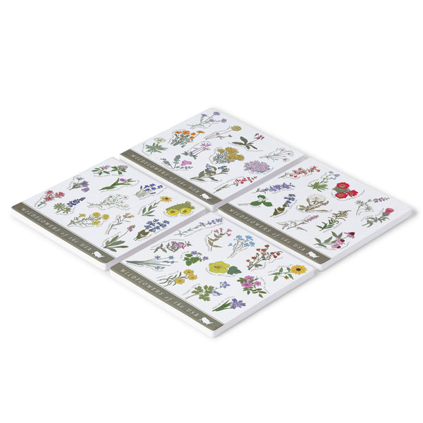 Wildflowers of the USA Coasters (Set of 4)