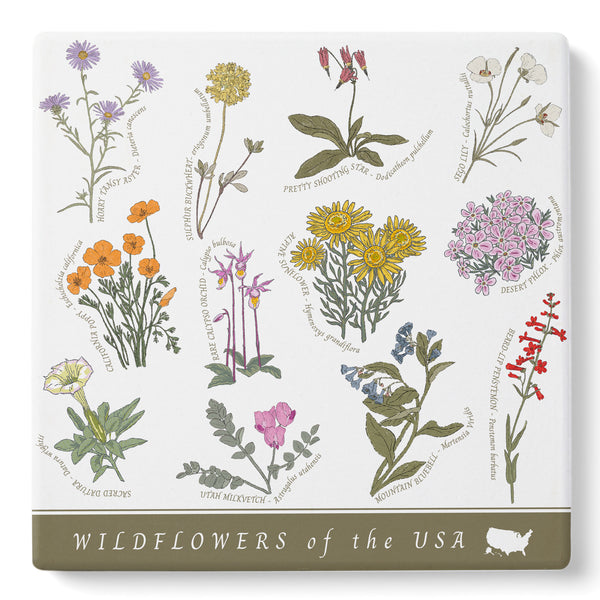 Wildflowers of the USA Coasters (Set of 4)