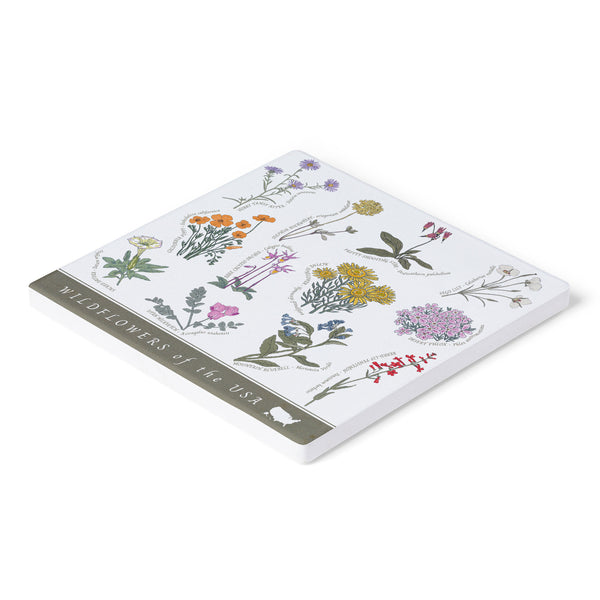 Wildflowers of the USA Coasters (Set of 4)