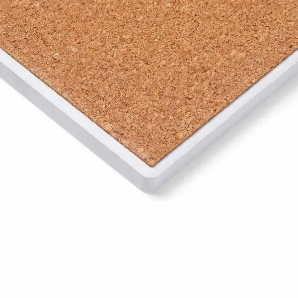 Wildflowers of the USA Coasters (Set of 4)