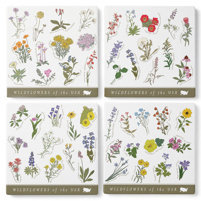 Wildflowers of the USA Coasters (Set of 4)