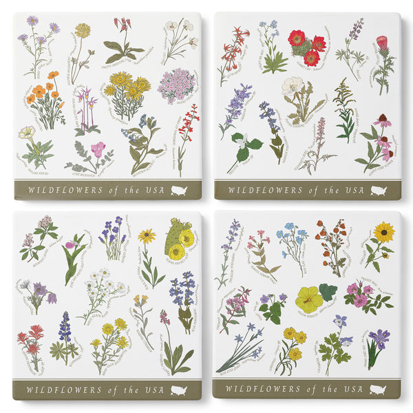 Wildflowers of the USA Coasters (Set of 4)
