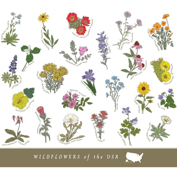 Wildflowers of the USA Insulated Water Bottle in White