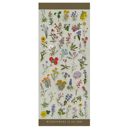 Wildflowers of the USA Scarf