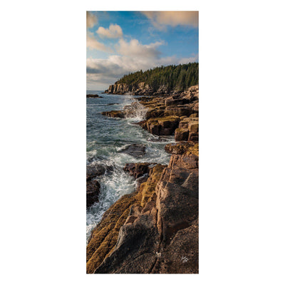 Acadia National Park Photo Scarf - McGovern & Company