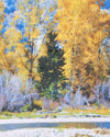 Grand Teton National Park Photo Blanket - McGovern & Company